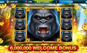 casino live
